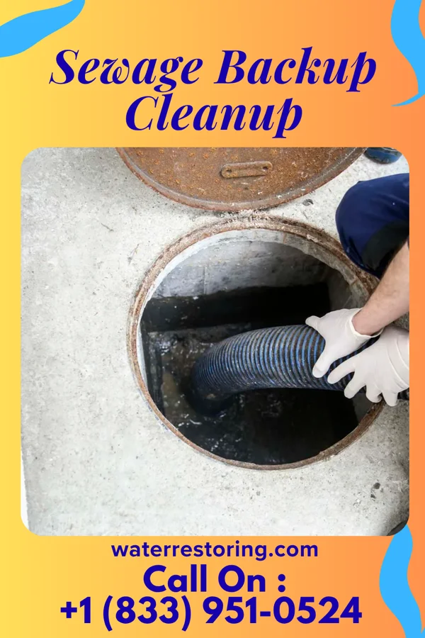 Sewage Backup Cleanup in Plattsville, CT