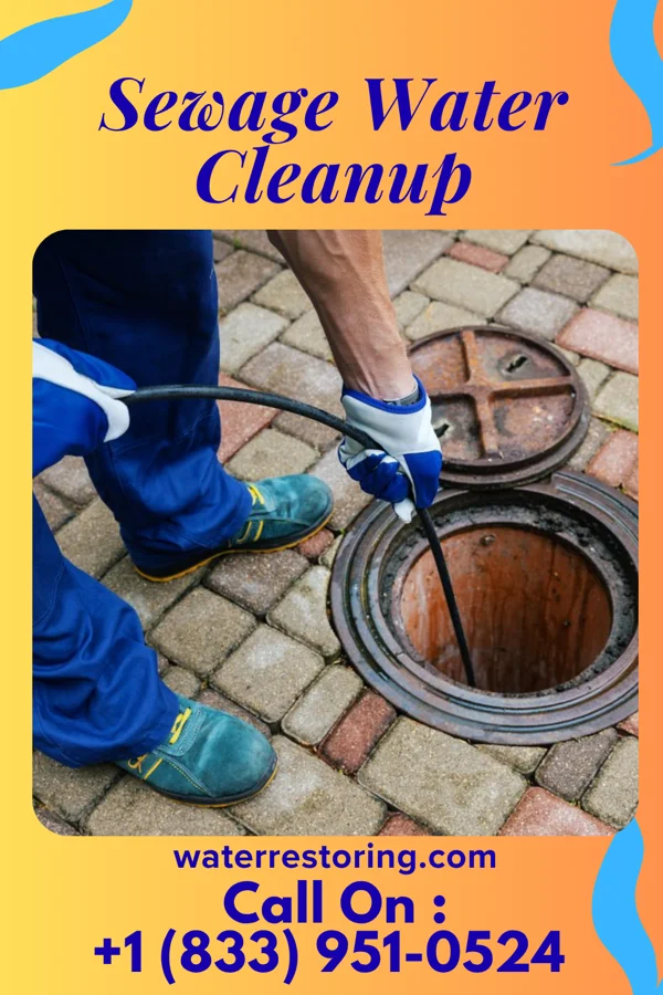 Sewage Water Cleanup in Plattsville, CT